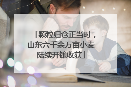 颗粒归仓正当时，山东六千余万亩小麦陆续开镰收获